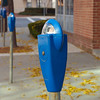 Leukocyte > Autumn in Bethesda photo