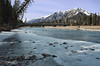 Leukocyte > Banff 2007 photo