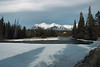 Leukocyte > Banff 2007 photo