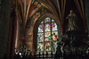Leukocyte > Cracow 2005 photo